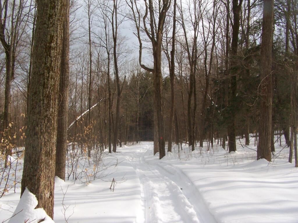 Photo: Snowshoeing Along the Redbelly Snowmobile Trail Photo: Snowshoeing Along the Redbelly Snowmobile Trail