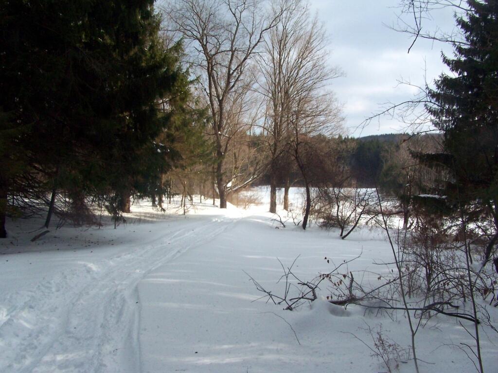 Photo: Heading Towards Frozen Ponds Photo: Heading Towards Frozen Ponds