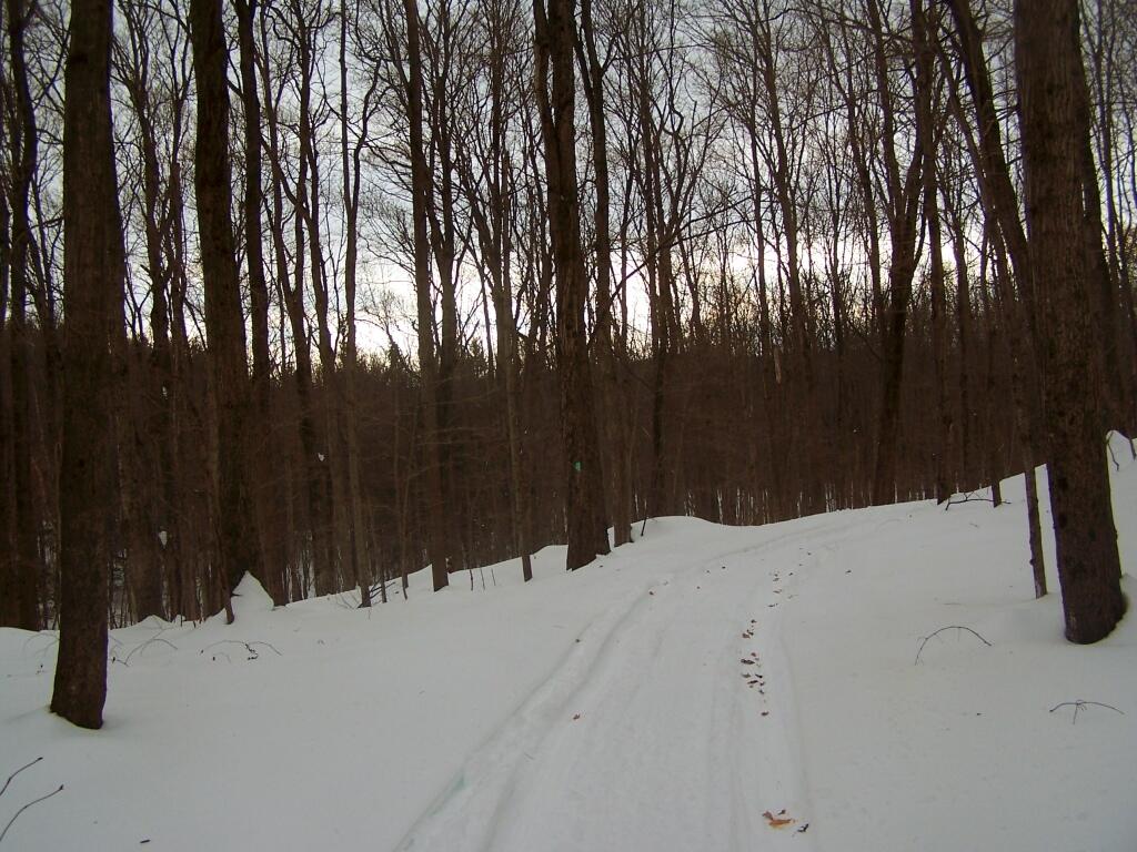 Photo: Snowshoeing Along Connector Trail Photo: Snowshoeing Along Connector Trail