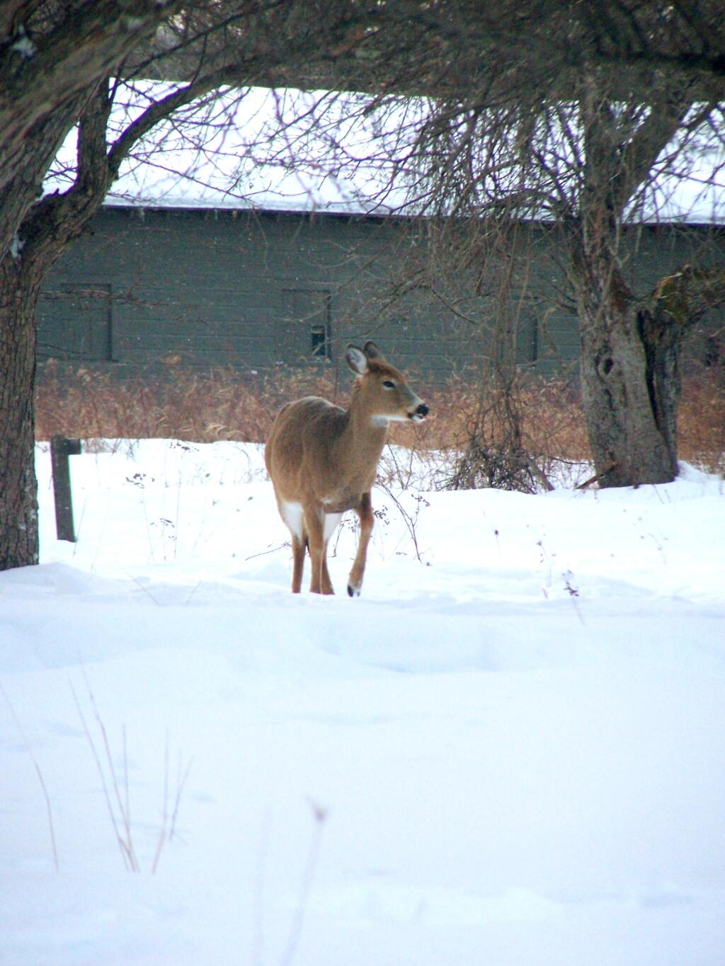 Photo: Why Are You Photographing Me? Photo: Why Are You Photographing Me?