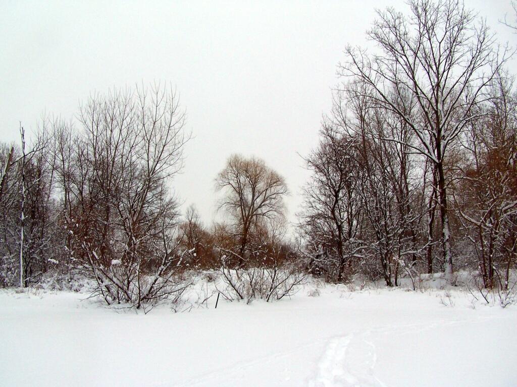 Photo: Towards the Old Trailer Park Photo: Towards the Old Trailer Park