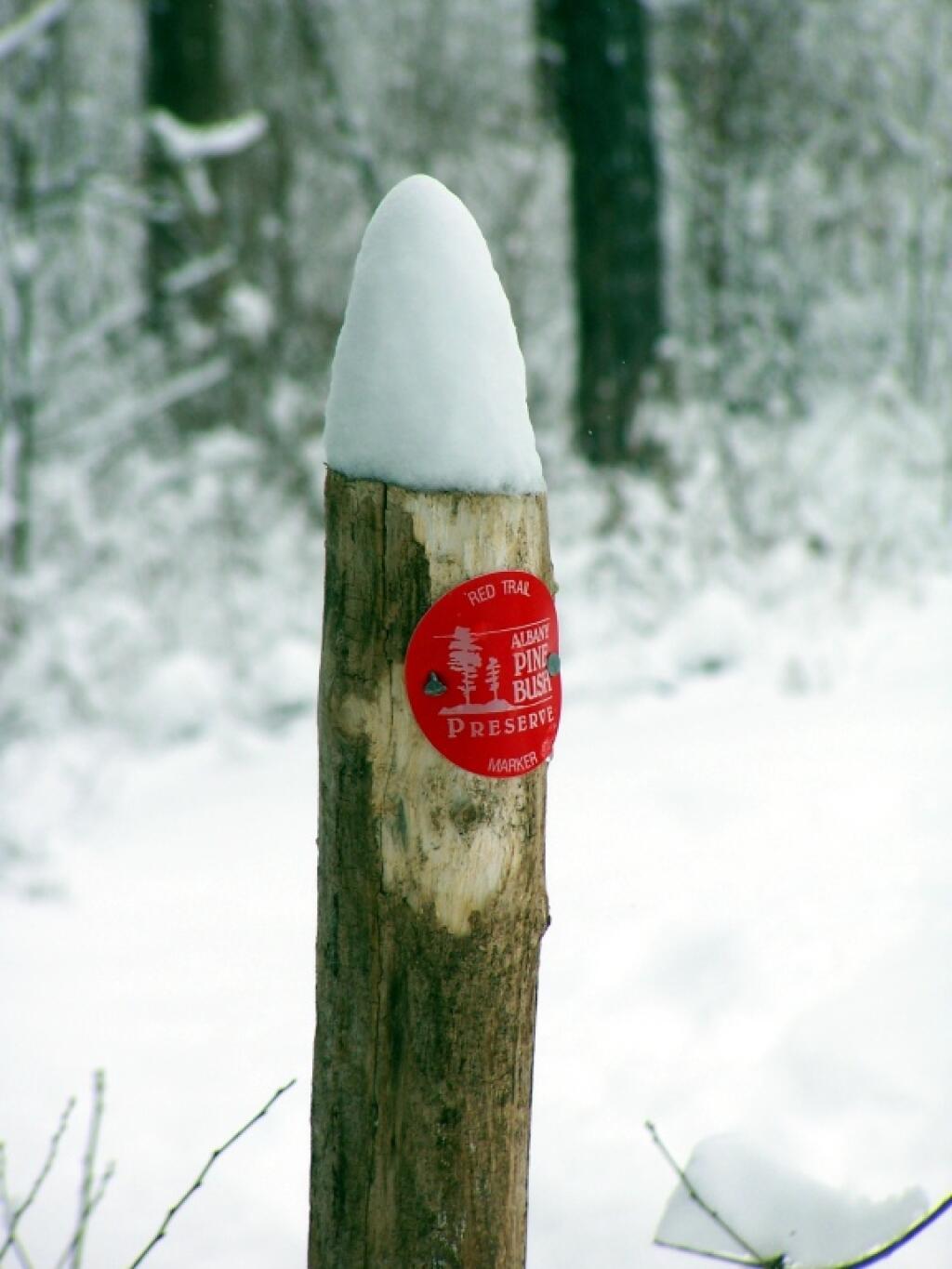 Photo: Red Trail Marker Photo: Red Trail Marker