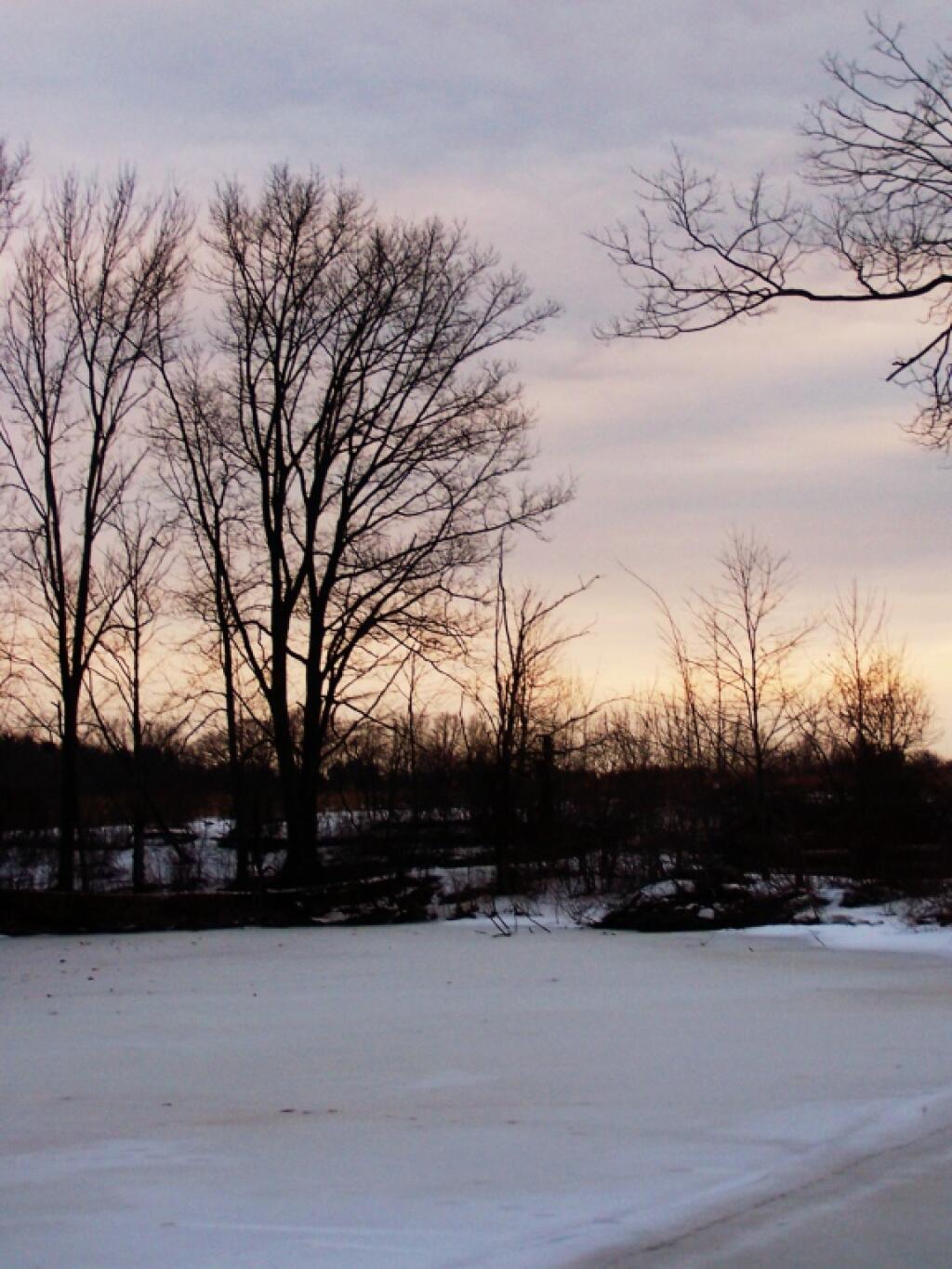Photo: Thin Ice on Pond Photo: Thin Ice on Pond