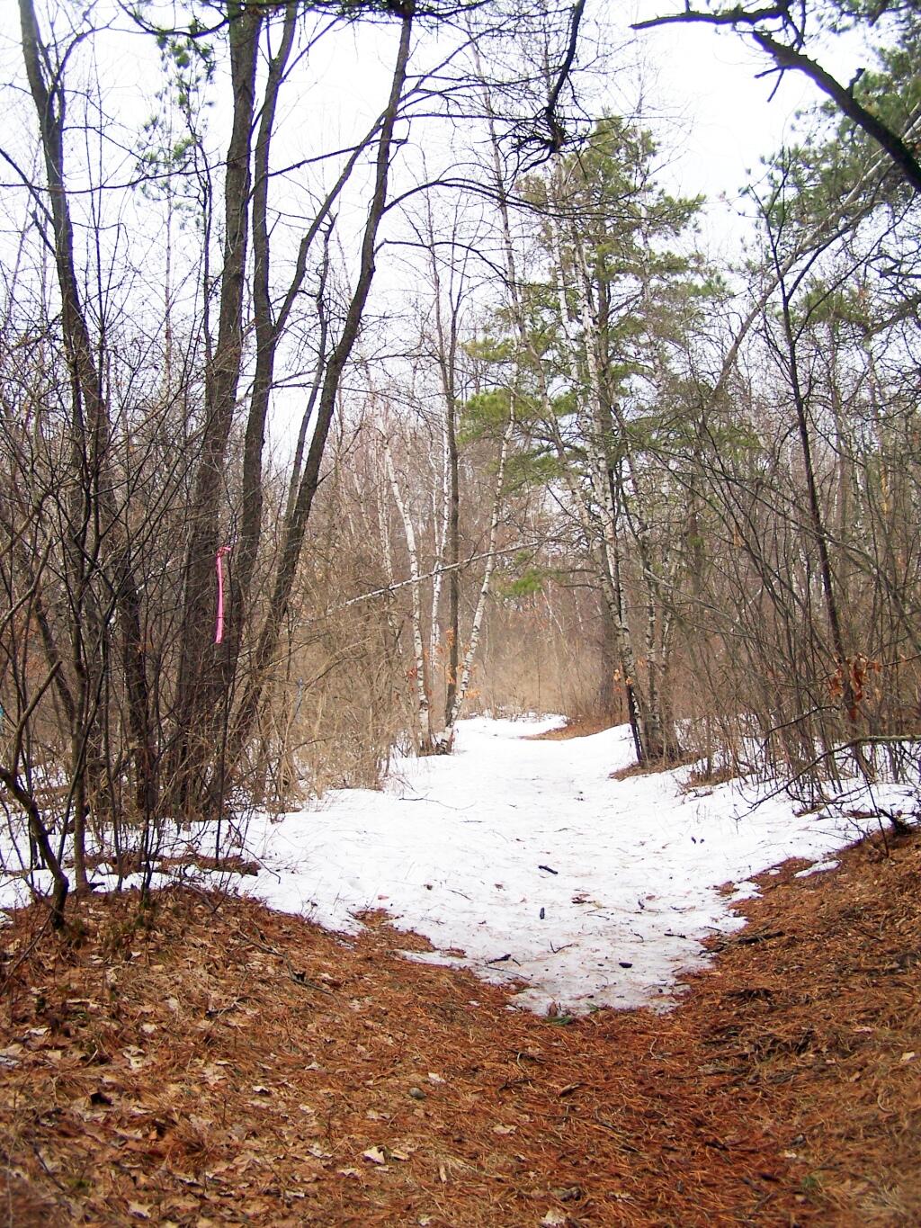 Photo: Hiking Along Centerville Road Photo: Hiking Along Centerville Road