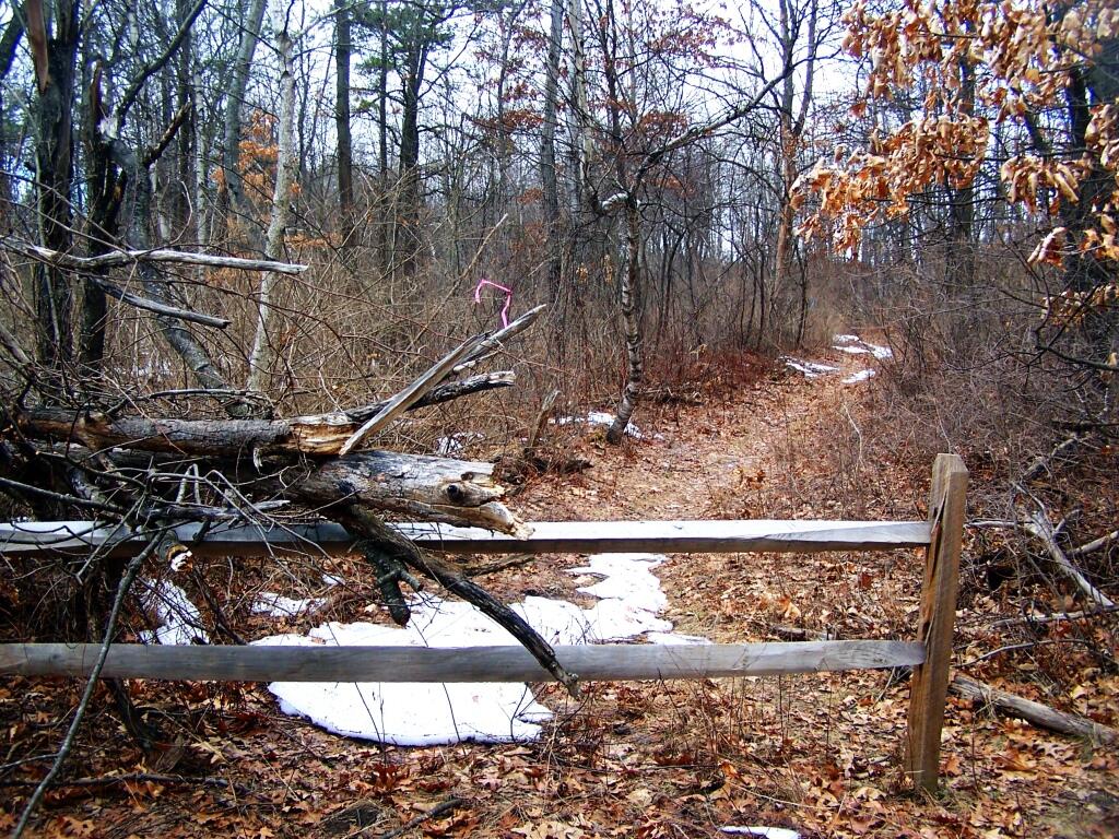 Photo: Gateway to the Forbidden Zone Photo: Gateway to the Forbidden Zone