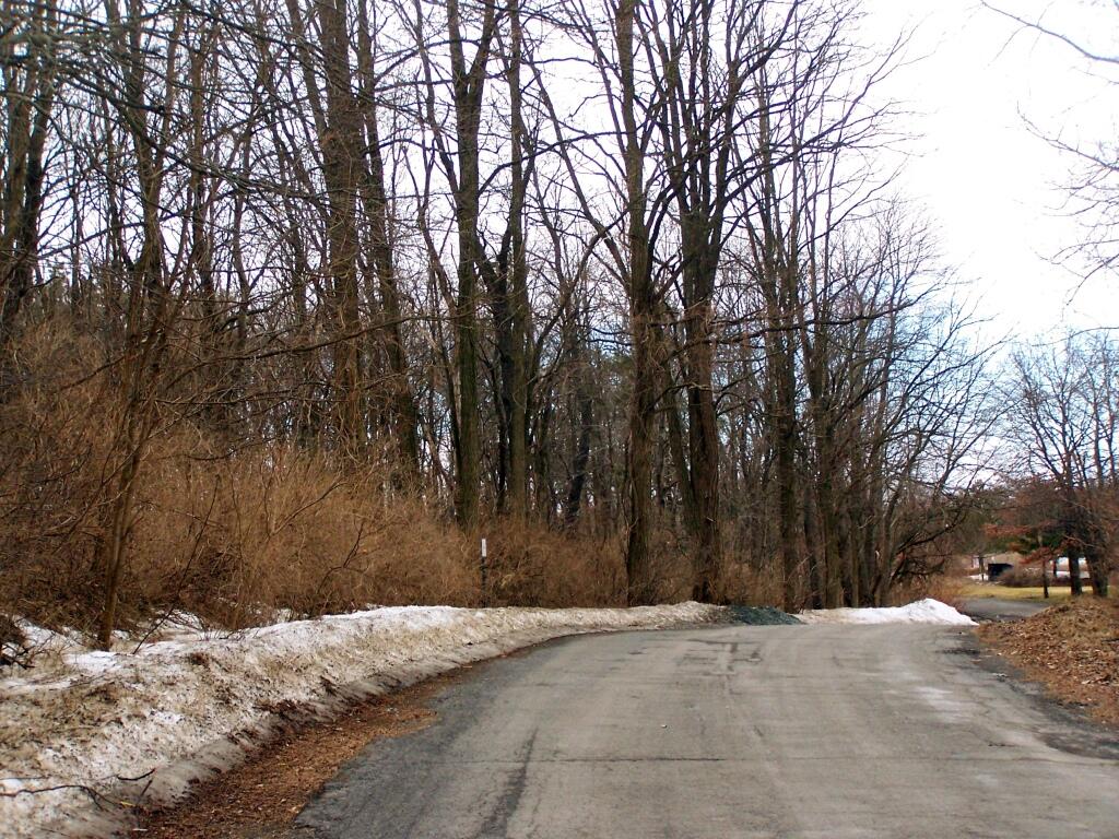 Photo: Old Karner Road Photo: Old Karner Road