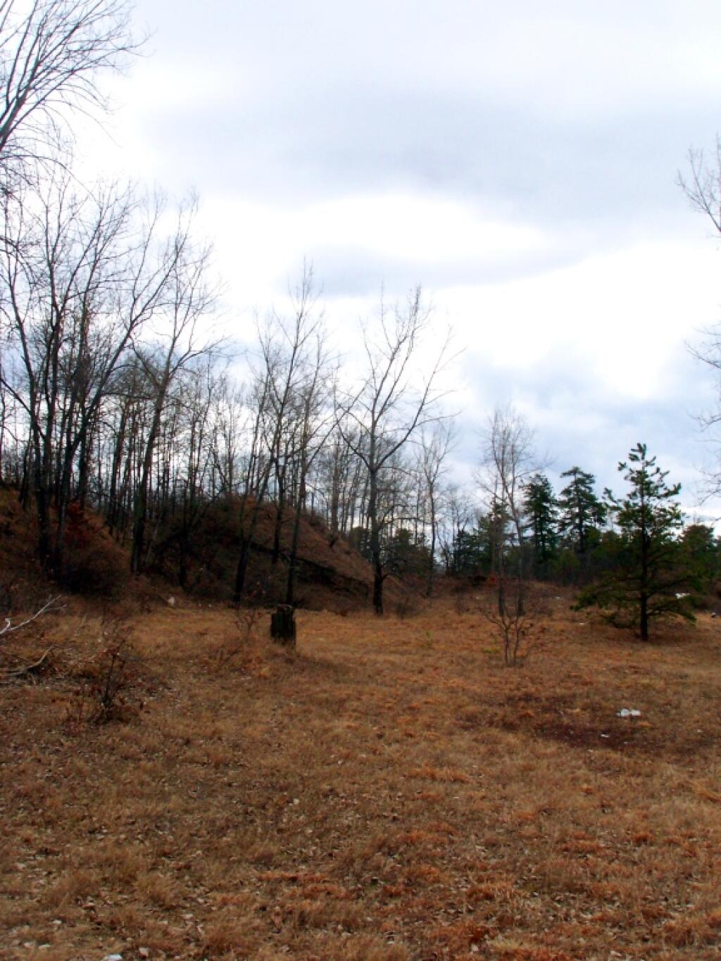 Photo: Walking Across Bulldozed Pine Dunes Photo: Walking Across Bulldozed Pine Dunes