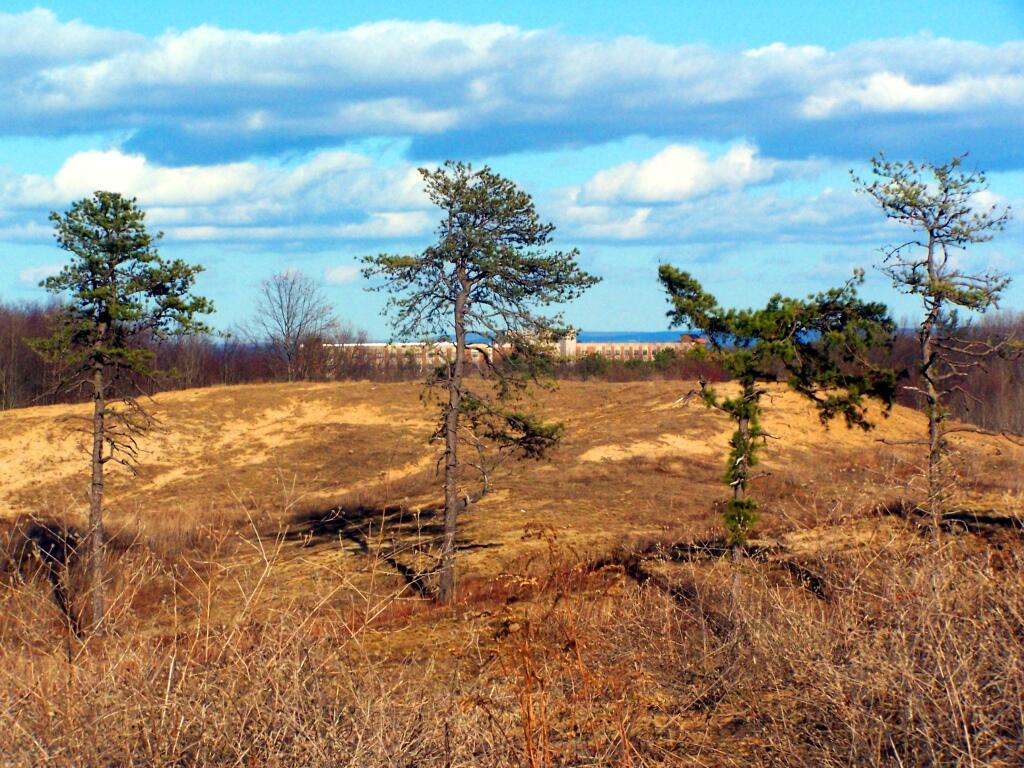 Photo: On Blueberry Hill Photo: On Blueberry Hill