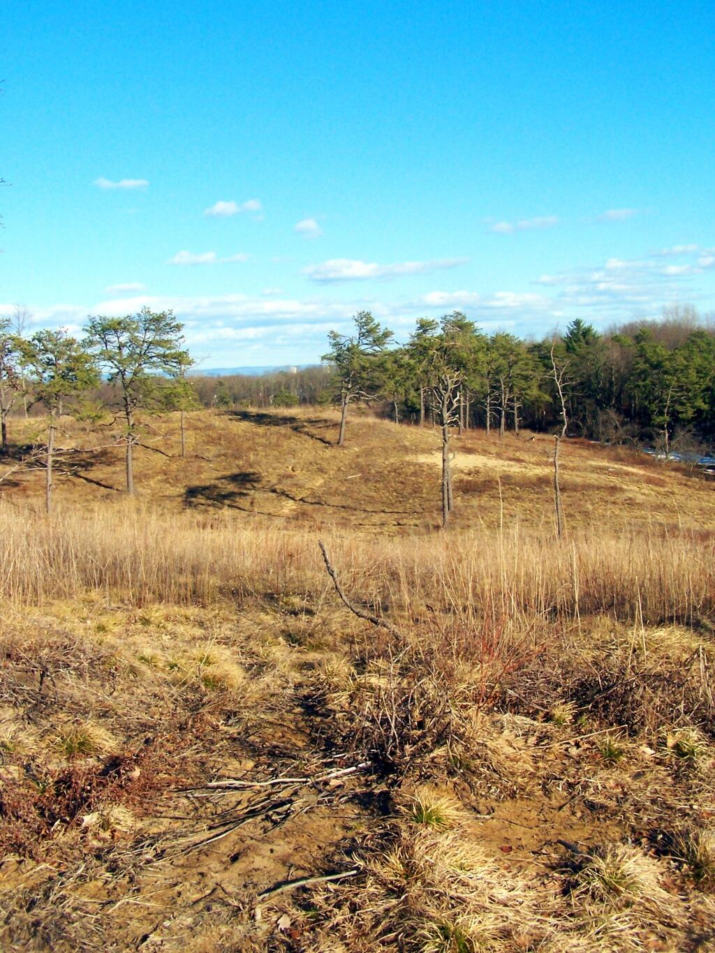 Photo: Due East Off Blueberry Hill Photo: Due East Off Blueberry Hill