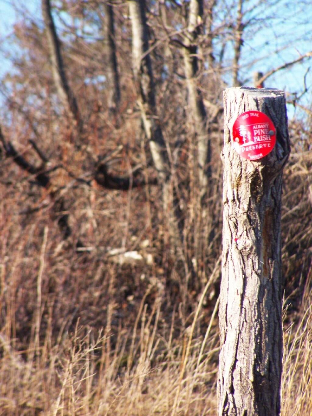 Photo: Red Trail Marker Photo: Red Trail Marker