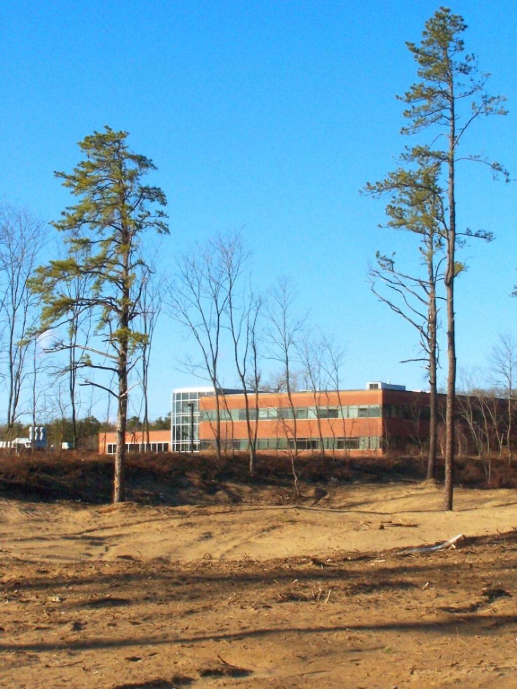 Photo: UFO Spaceship in the Pine Bush Photo: UFO Spaceship in the Pine Bush