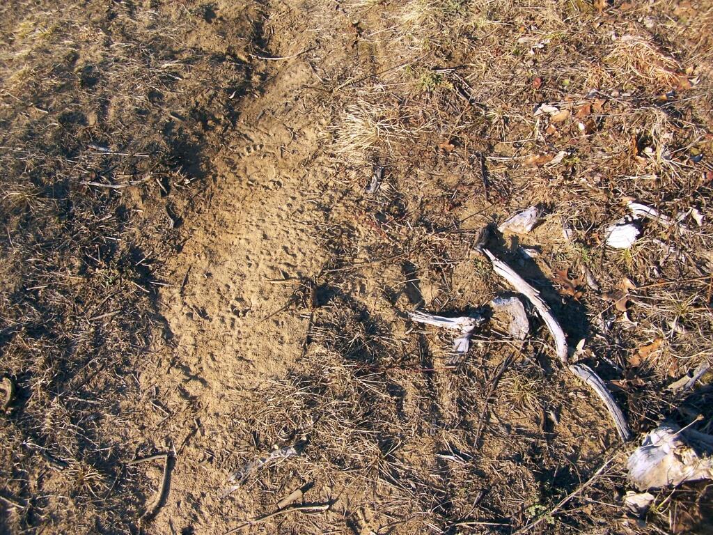 Photo: Muddy Soils Photo: Muddy Soils