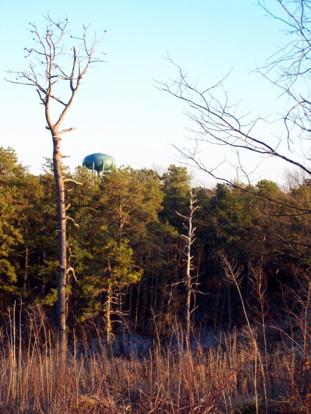 Photo: Another Alien Invader in the Pine Bush Photo: Another Alien Invader in the Pine Bush