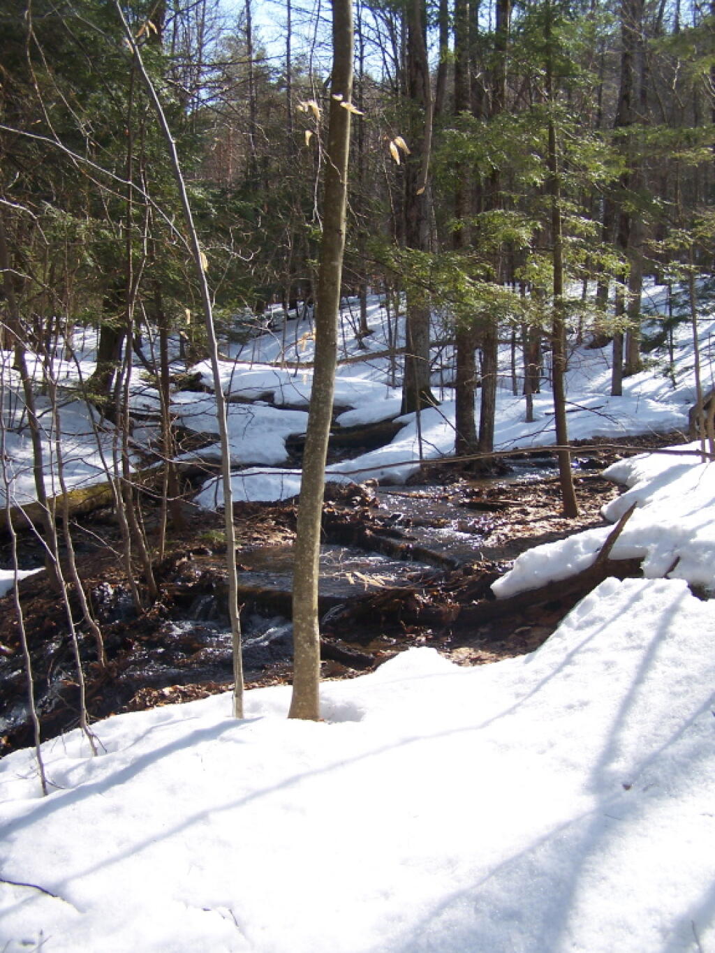 Photo: Unnamed Brook Gleems in Sun Photo: Unnamed Brook Gleems in Sun