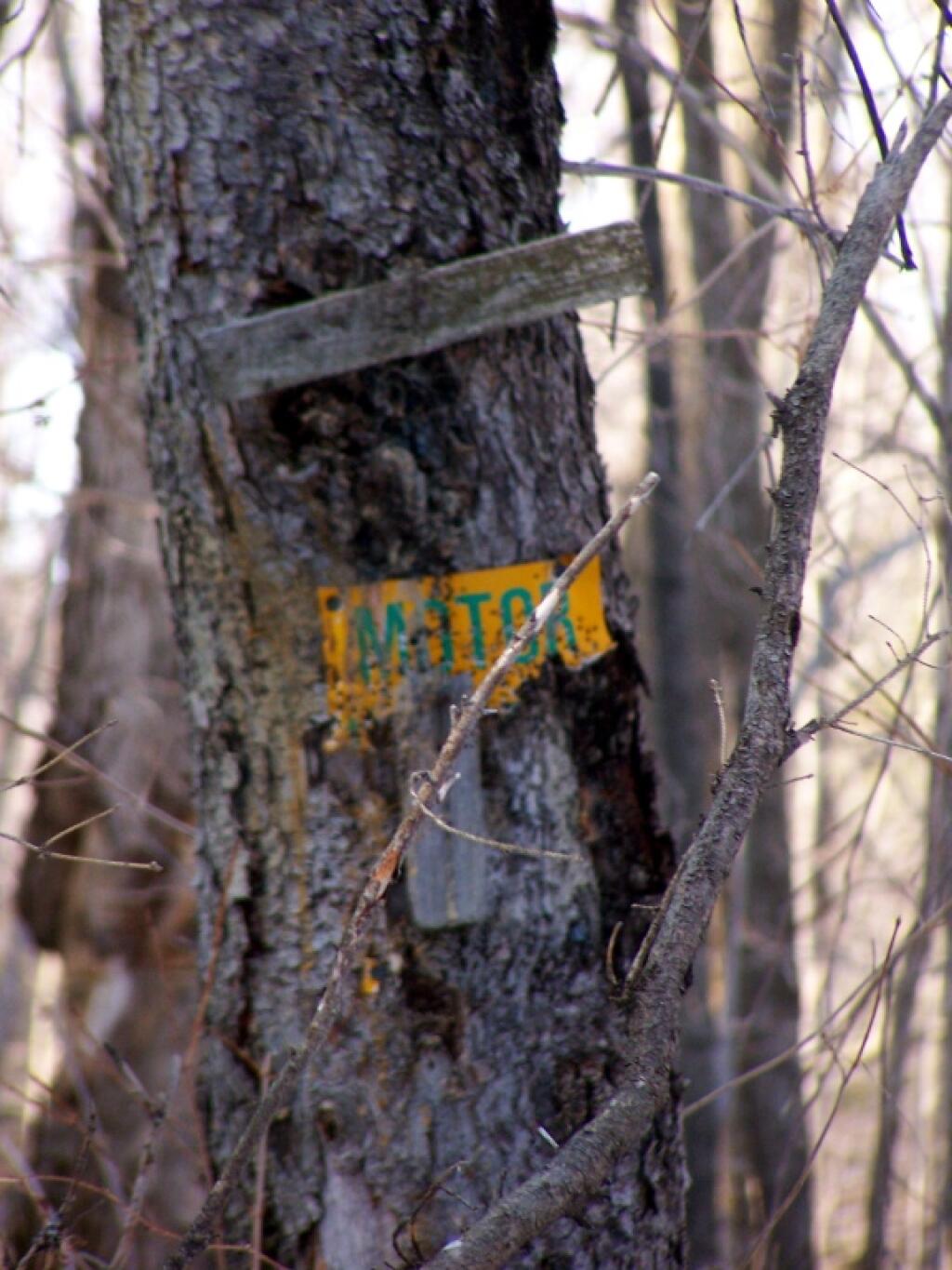 Photo: Shot Up Motor Vehicle Trail Sign Photo: Shot Up Motor Vehicle Trail Sign