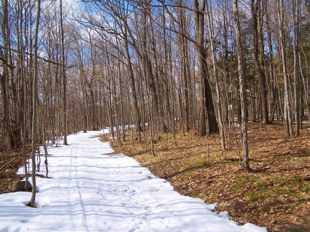 Photo: Old Woods Road Photo: Old Woods Road