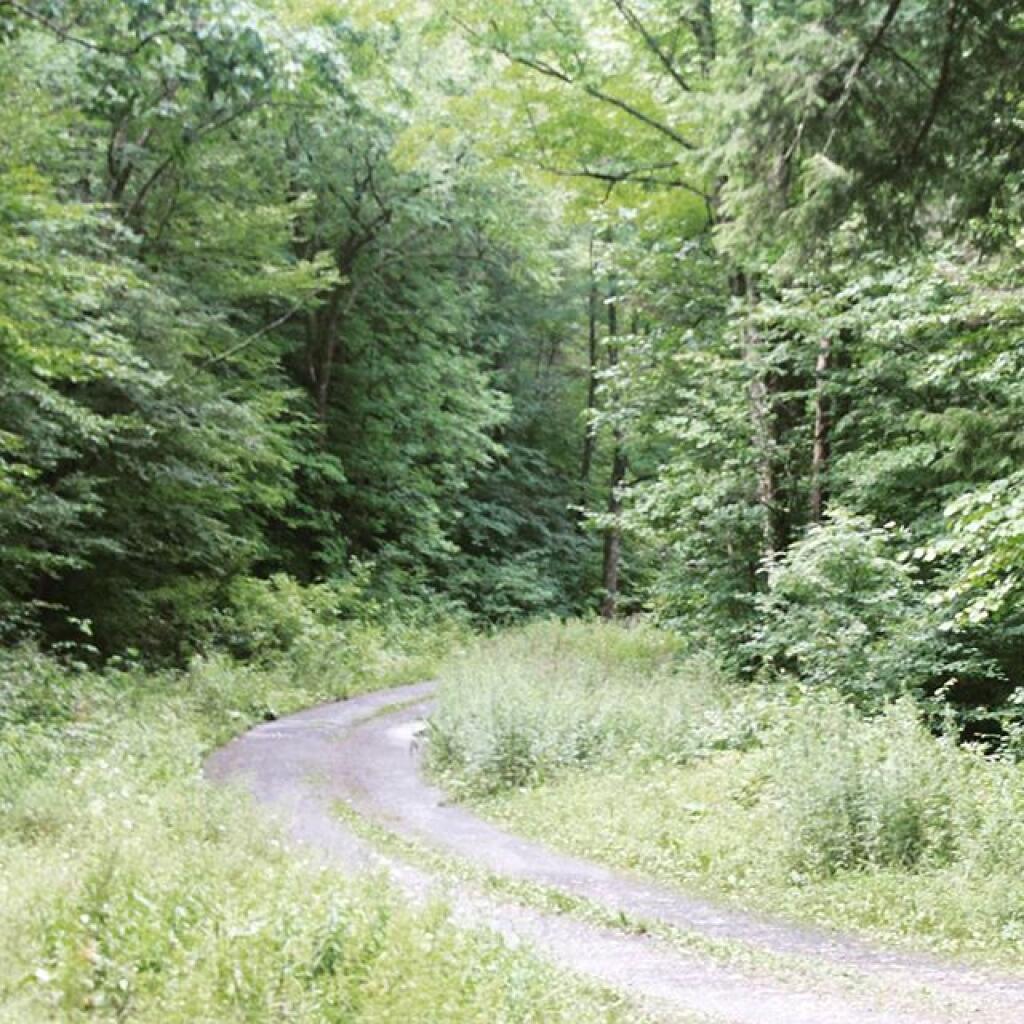 Photo: Betty Brook Road Photo: Betty Brook Road