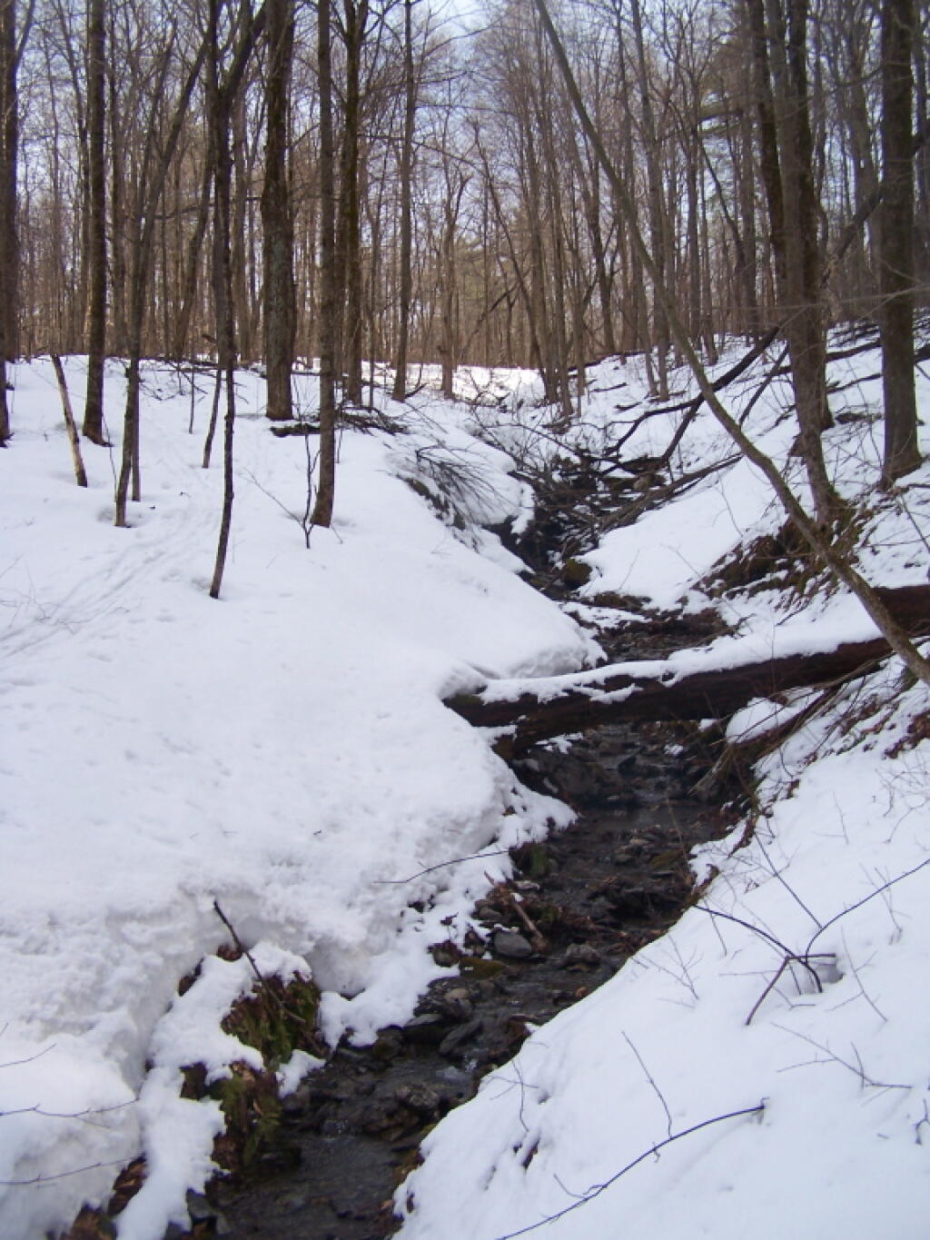 Photo: Snow Melt Photo: Snow Melt