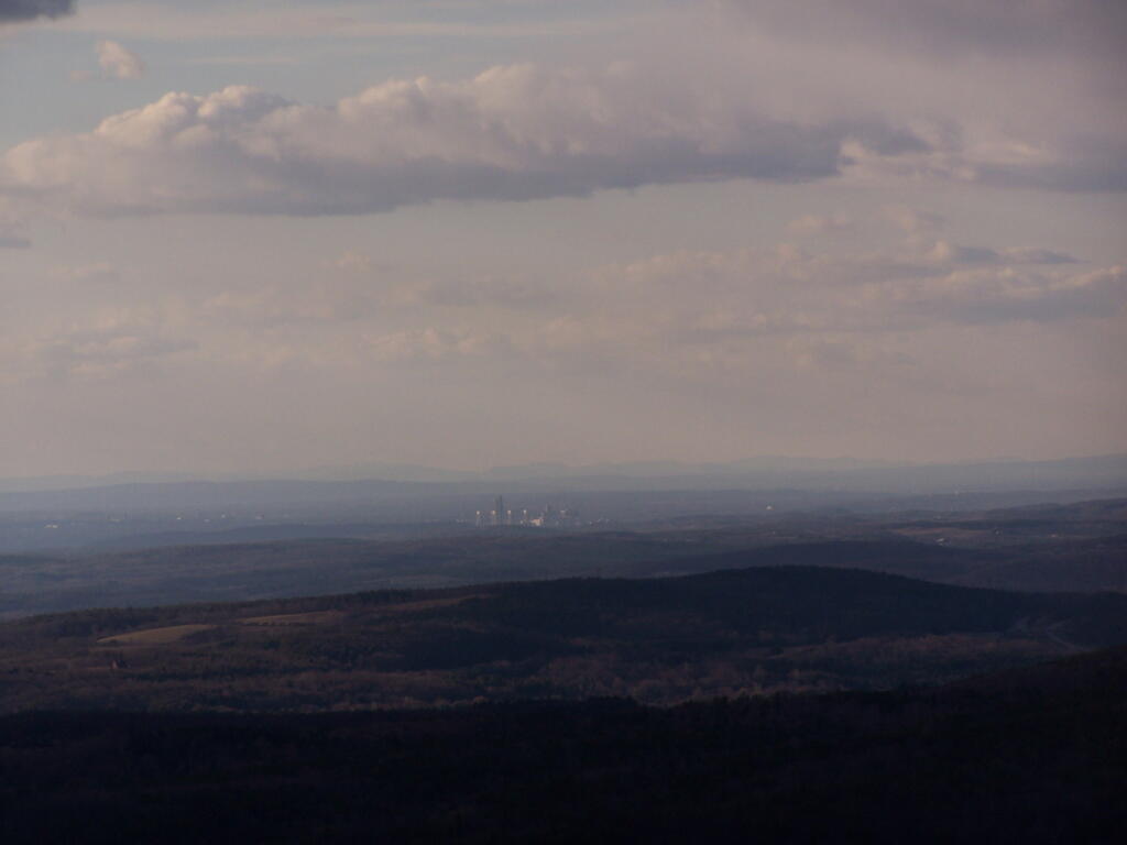 Photo: Albany Photo: Albany
