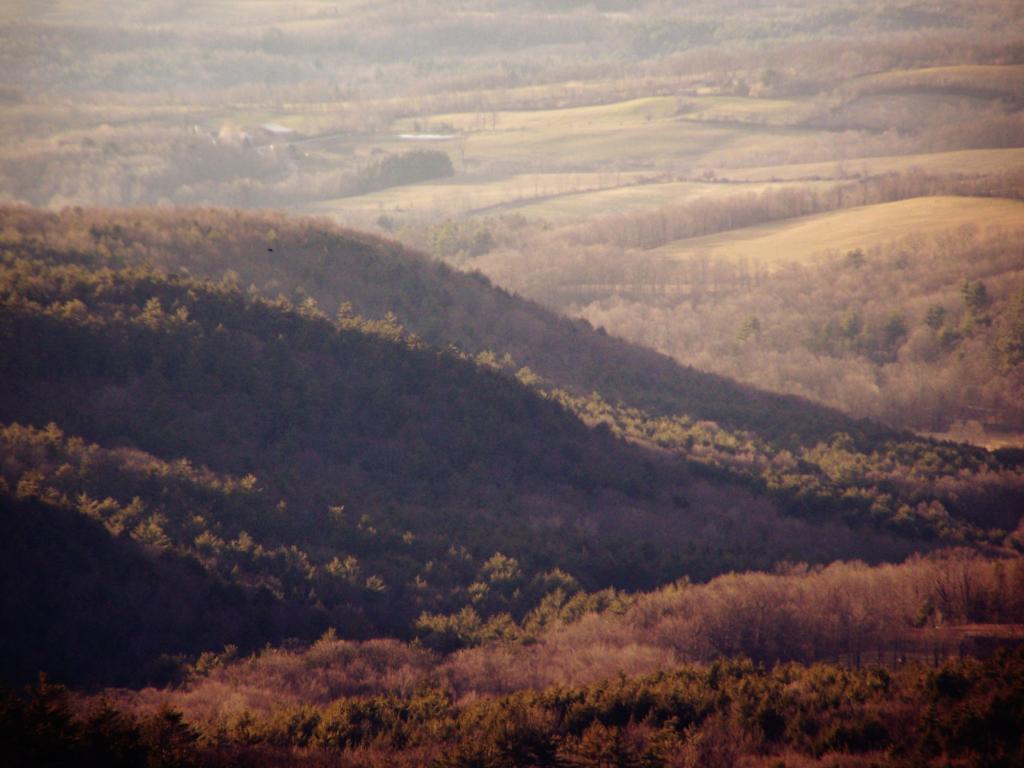 Photo: Farmlands