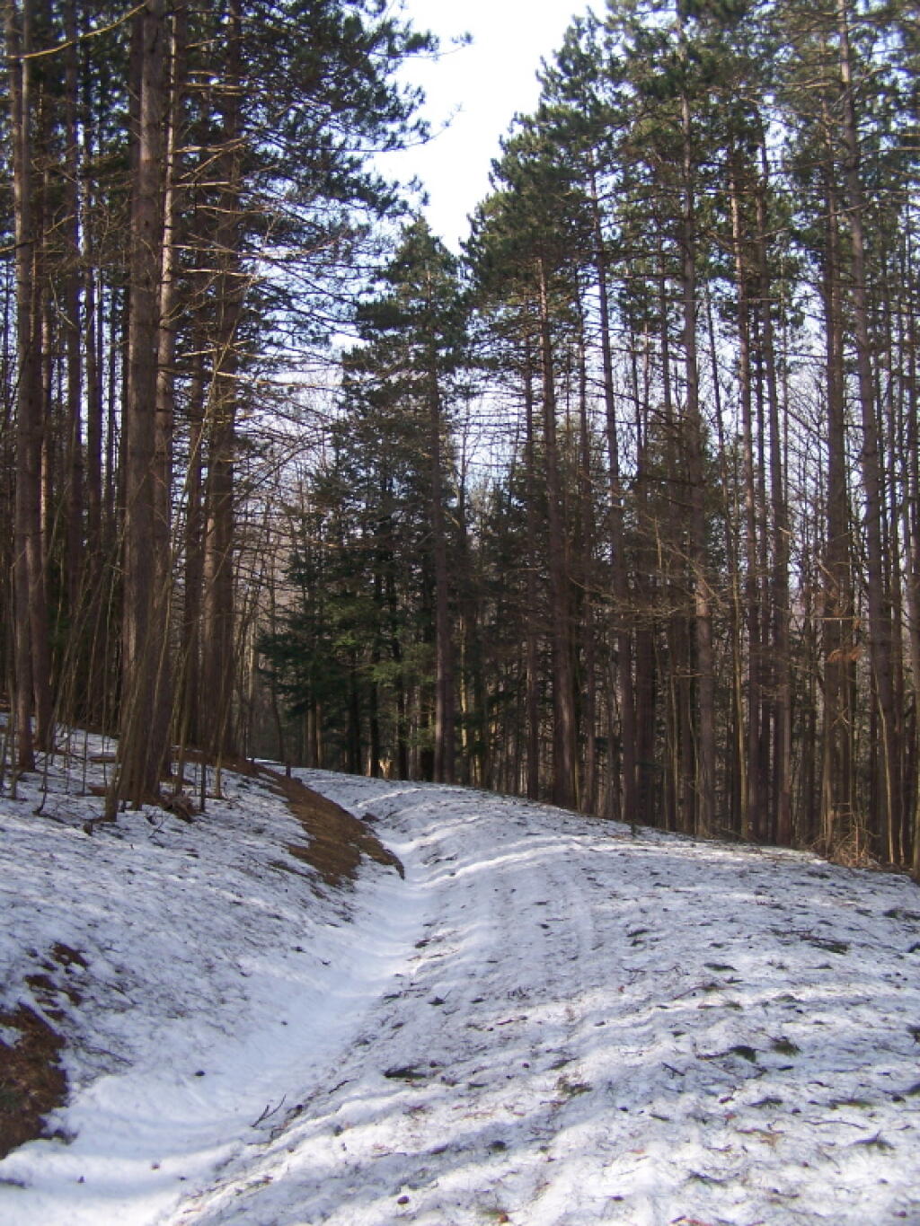 Photo: Reaching Top of Hill