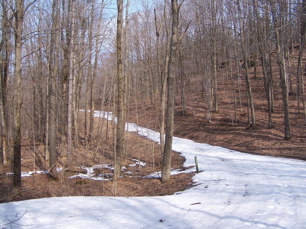 Photo: Snow Covered Trail Photo: Snow Covered Trail
