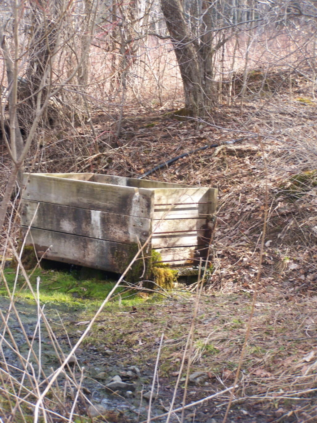 Photo: Horse Watering Trough Photo: Horse Watering Trough
