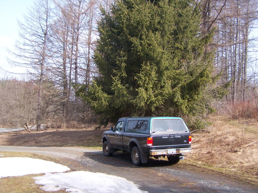 Photo: Parked Along the Parking Area