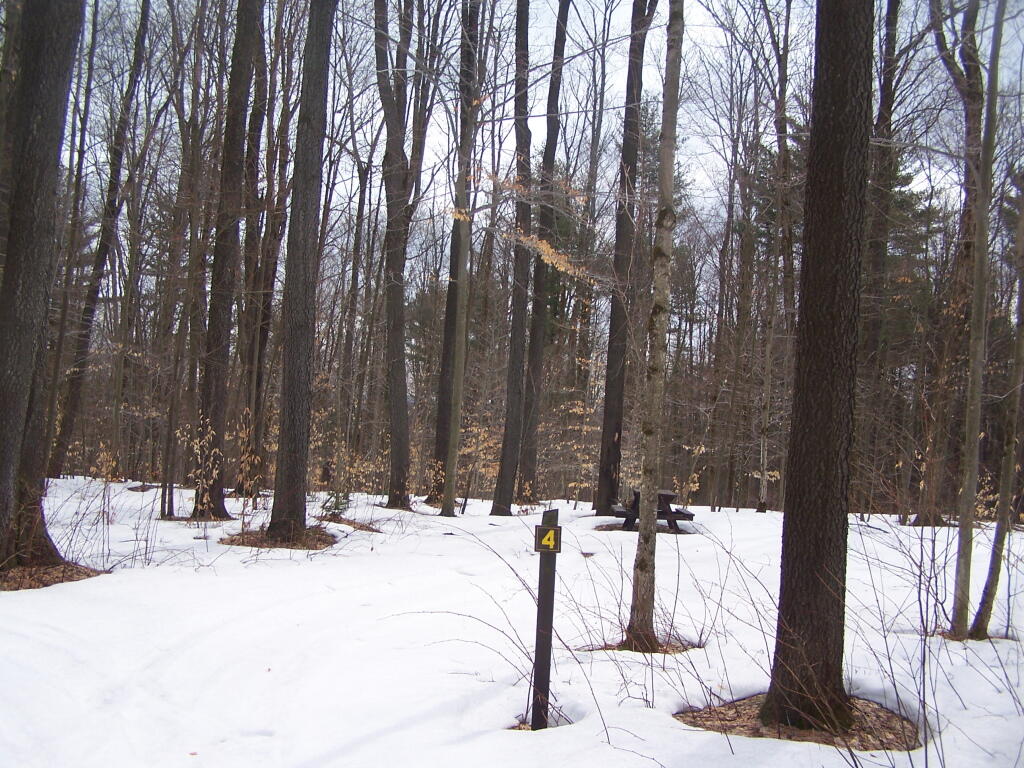 Photo: Campsite 4 Photo: Campsite 4