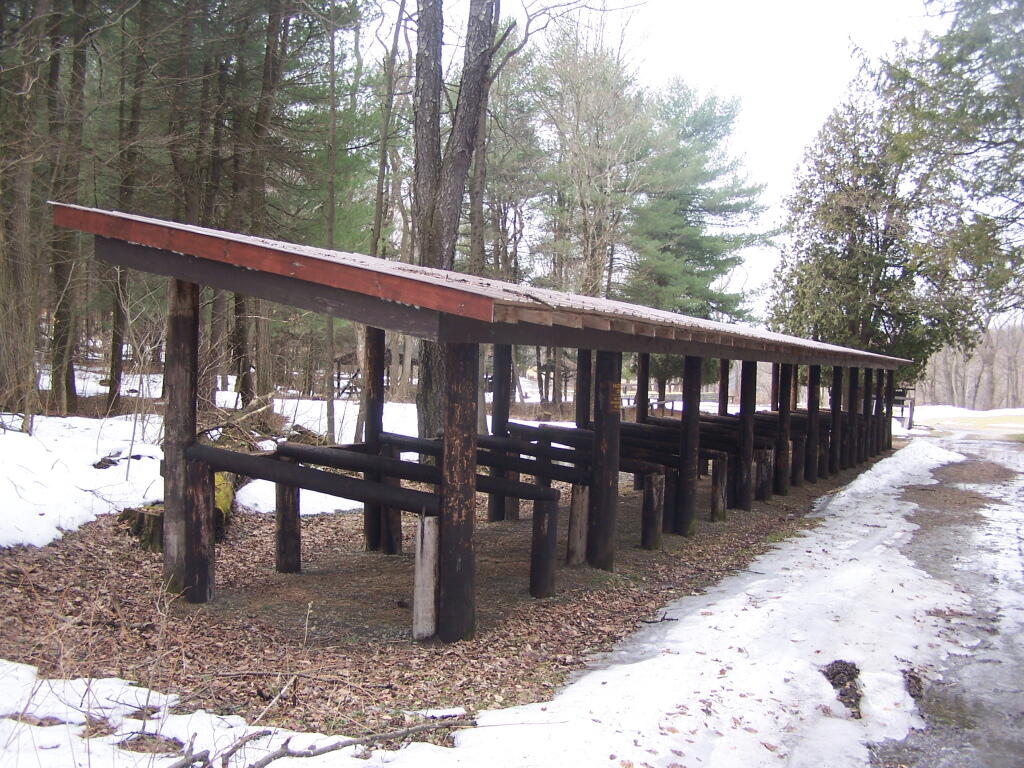 Photo: Horse Stalls