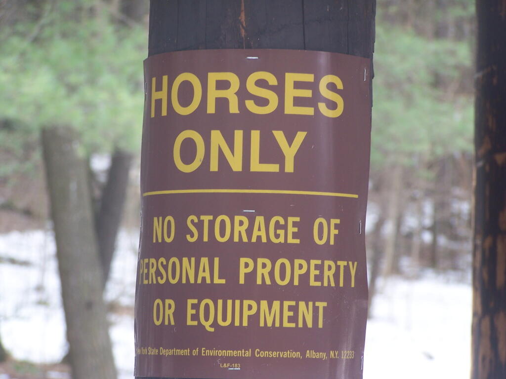 Photo: Horses Only