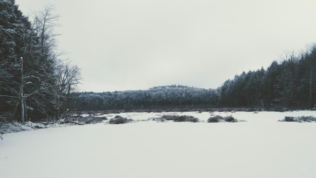 Photo: Lost Pond