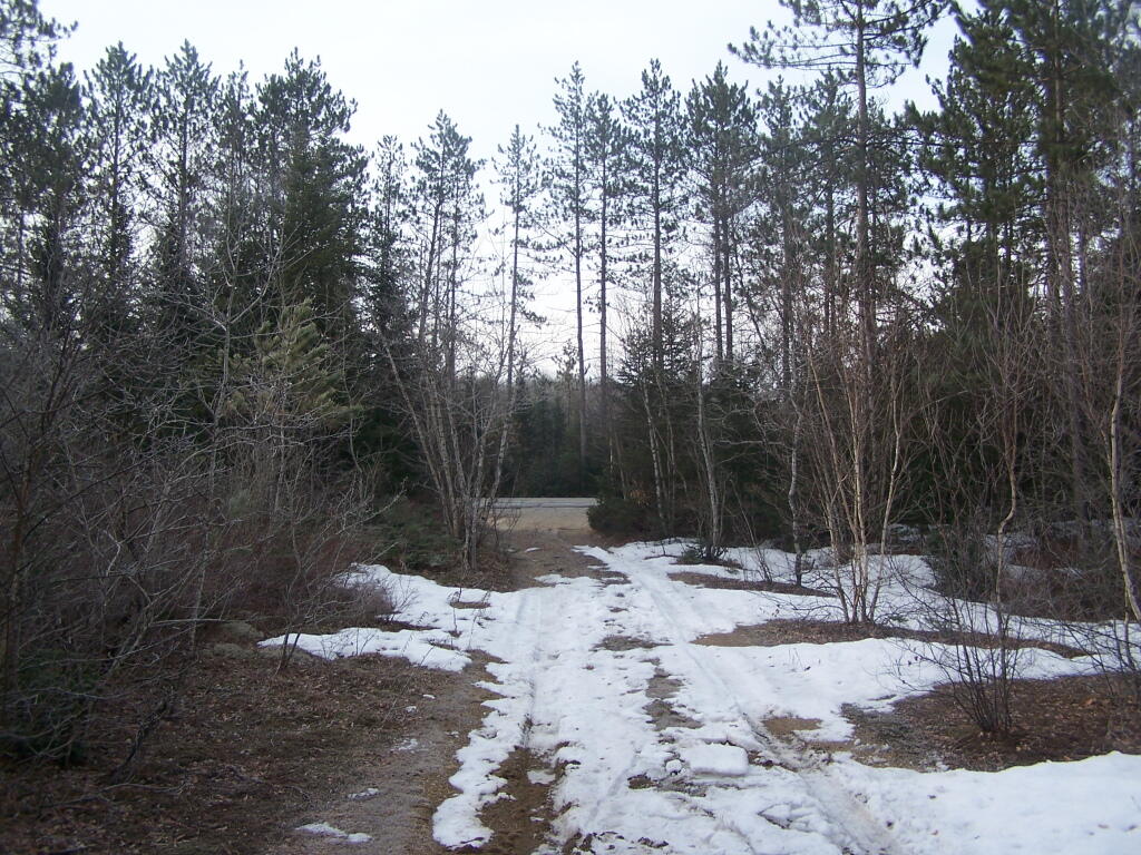 Photo: Looking Out At Route 8 Photo: Looking Out At Route 8