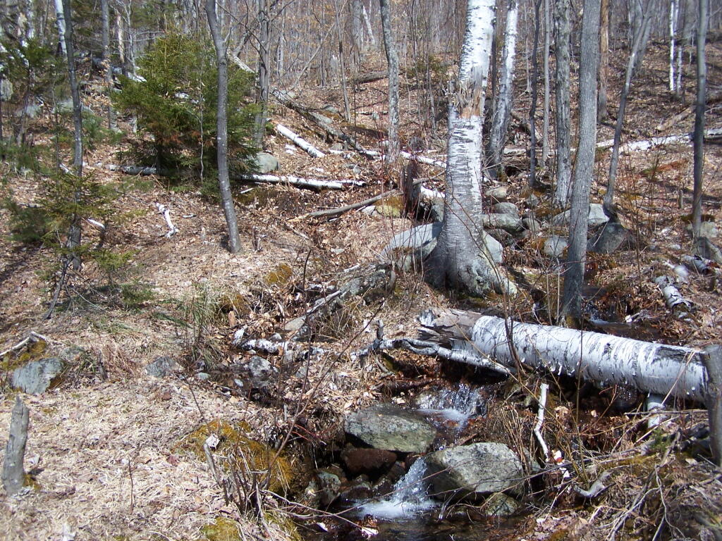 Photo: Snow Melt Photo: Snow Melt