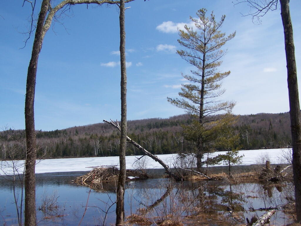 Photo: Beaver Lodge Photo: Beaver Lodge
