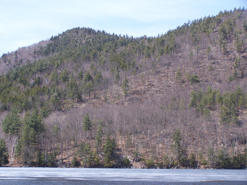 Photo: Ross Mountain Photo: Ross Mountain