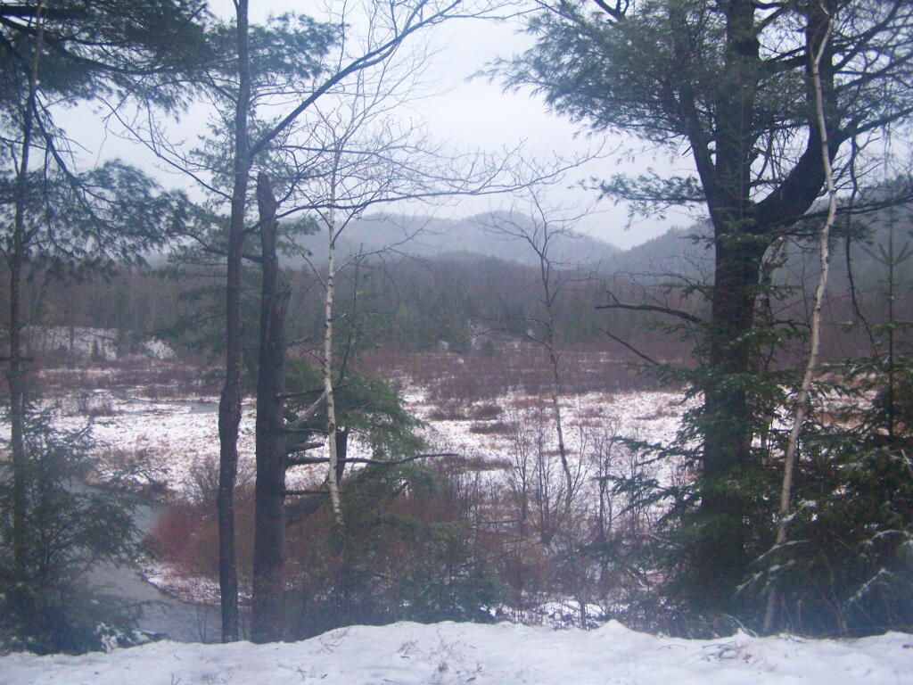Photo: Snowy Wet Siamese Pond Wilderness Photo: Snowy Wet Siamese Pond Wilderness