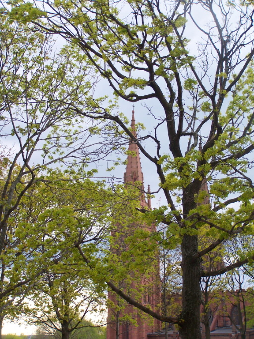 Photo: Chapel Thru the Trees Photo: Chapel Thru the Trees