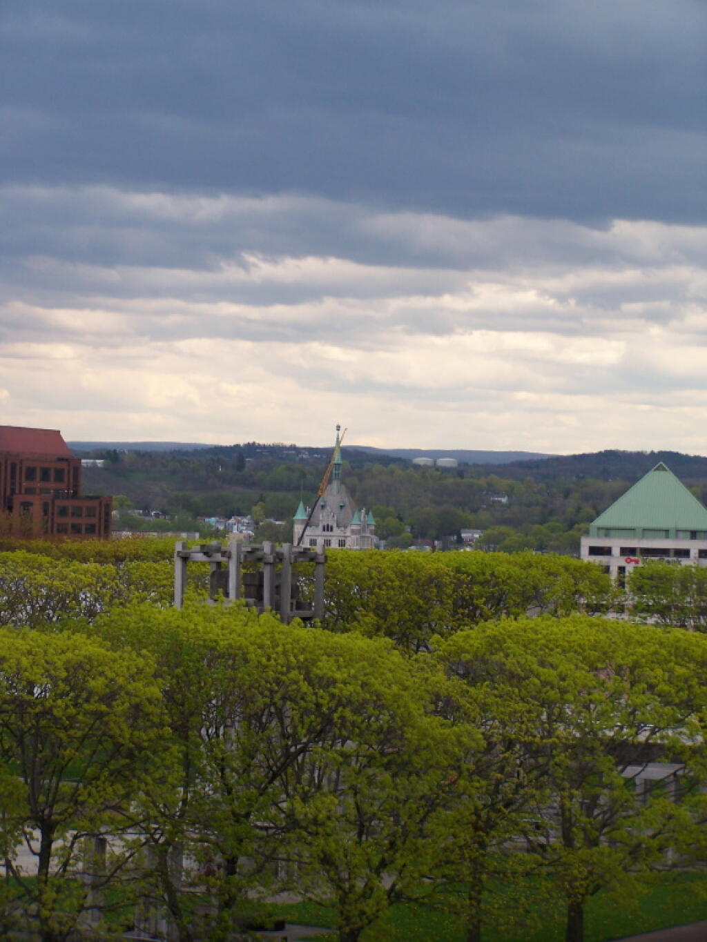 Photo: Rooftops and Trees Photo: Rooftops and Trees