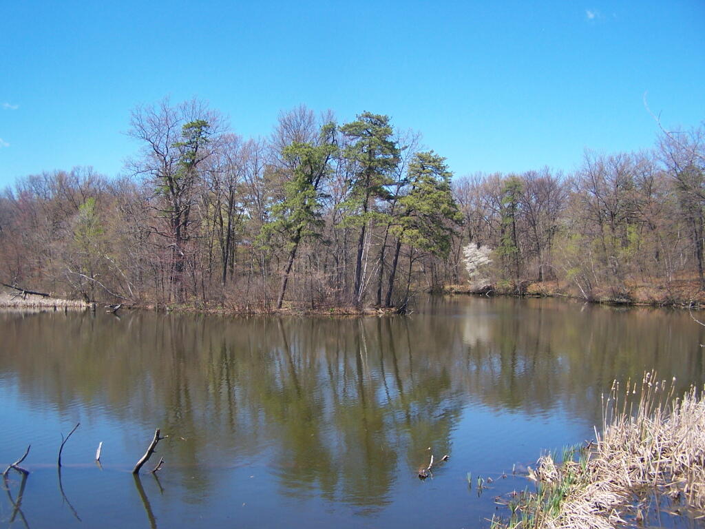 Photo: Forks in Rensselaer Lake Photo: Forks in Rensselaer Lake