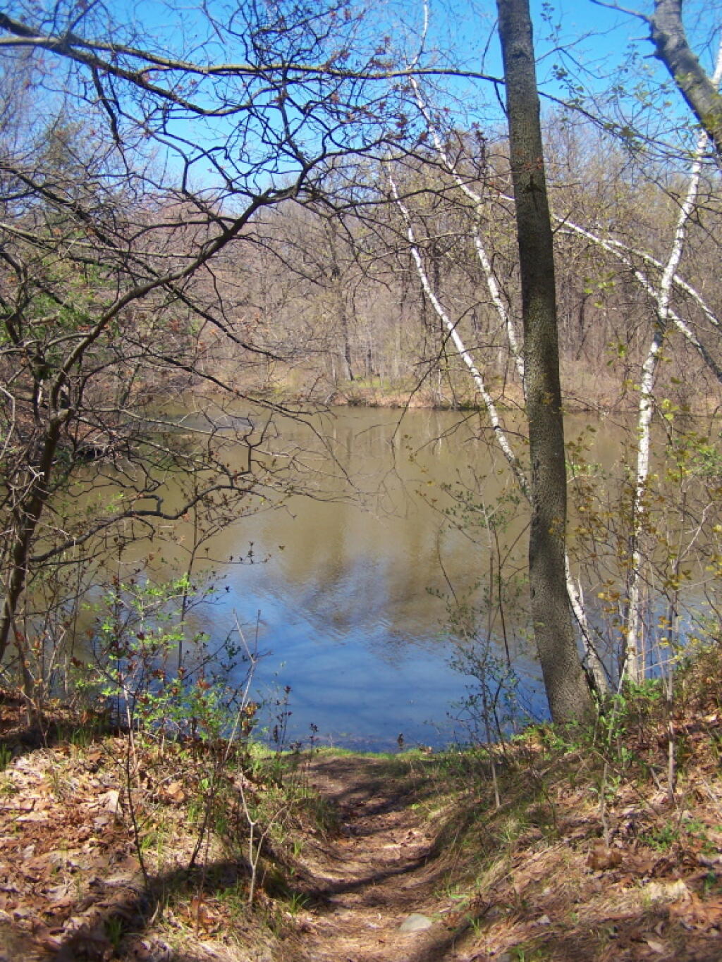 Photo: Path Down to Rensselaer Lake Photo: Path Down to Rensselaer Lake
