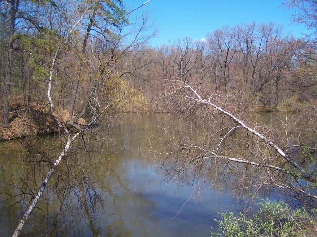 Photo: One of Marshy Bays Photo: One of Marshy Bays