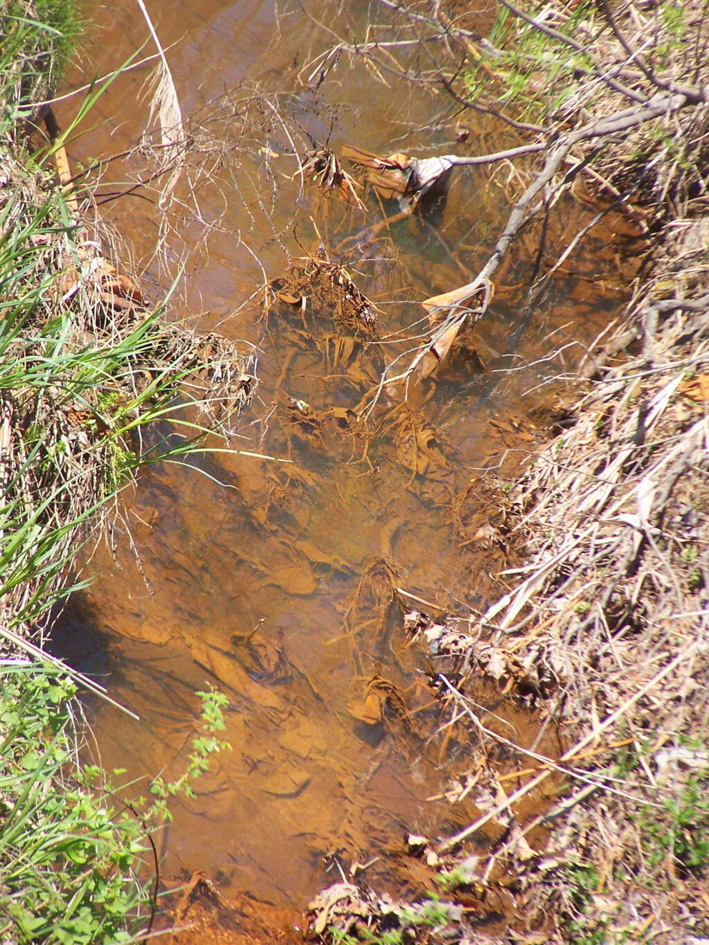 Photo: Iron Deposits in Rensselaer Lake Photo: Iron Deposits in Rensselaer Lake