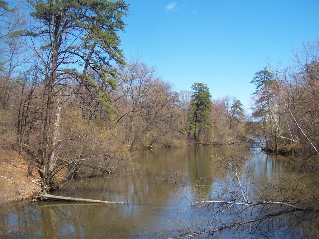 Photo: Finger of Rensselaer Lake Photo: Finger of Rensselaer Lake