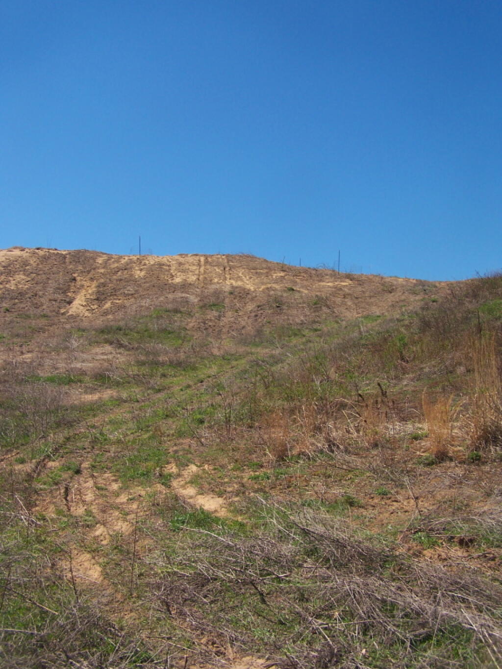 Photo: Cleared Sand Dune Photo: Cleared Sand Dune