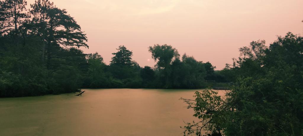 Photo: Wildfire Smoke Makes for a Dim Afternoon at Five Rivers Photo: Wildfire Smoke Makes for a Dim Afternoon at Five Rivers