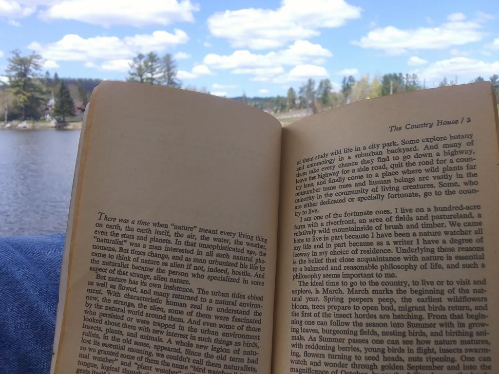 Photo: Reading down by the lake Photo: Reading down by the lake