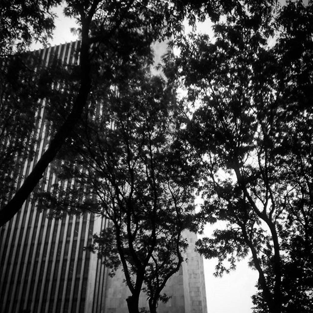 Photo: Tailfin Photo: Tailfin