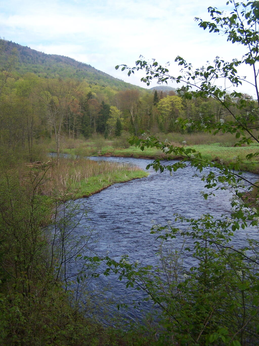 Photo: Down Towards the Green East Branch of Sacanadaga River Photo: Down Towards the Green East Branch of Sacanadaga River