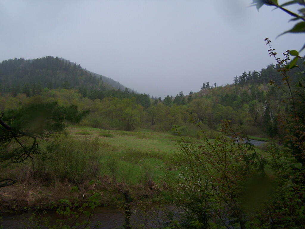 Photo: It's Raining Photo: It's Raining